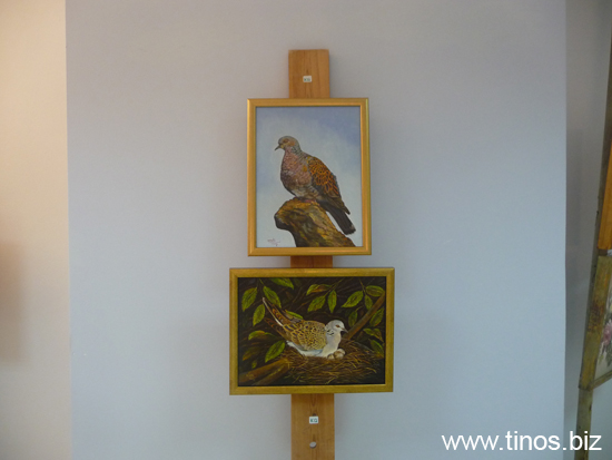 metaxa_2009 055